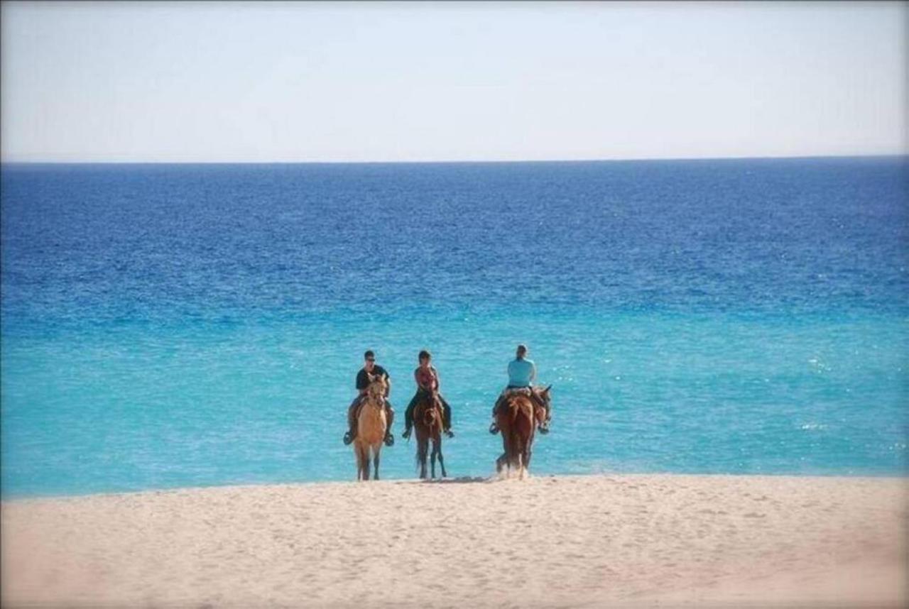 Beachfront 3 Bed Beautiful Condo At Casa Del Mar San José del Cabo 外观 照片